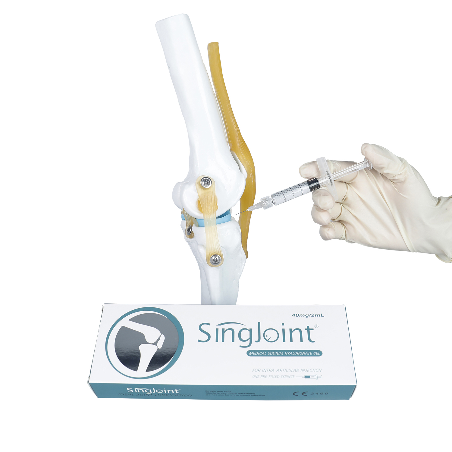 Singjoint for Bone Joint.jpg