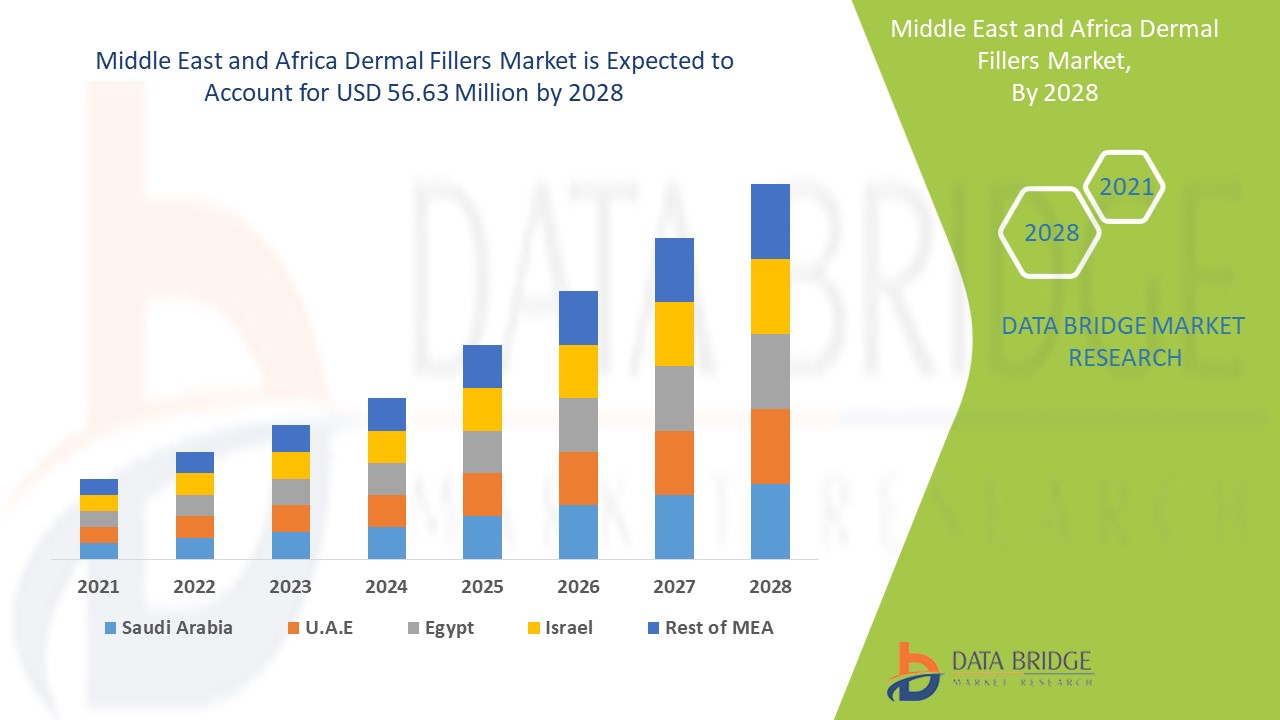 MiddleEastandAfricaDermalFillersMarket1.jpg