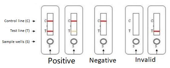 HIV TEST.jpg