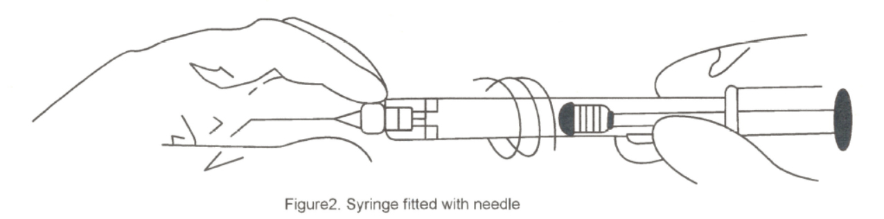 figure 2副本.jpg